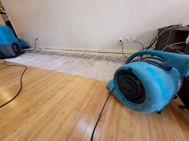 Professional Water Damage Repair technician working in Abernathy, TX